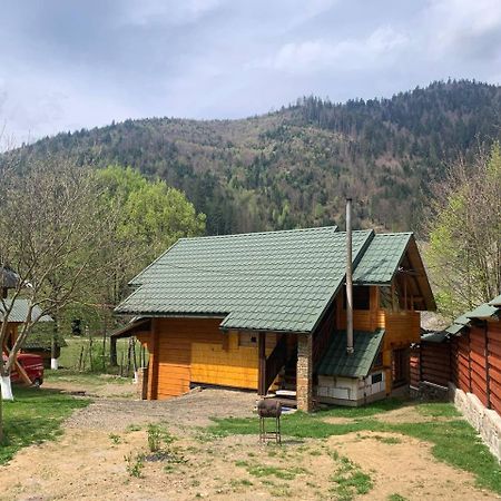 Еко Будинок В Горах Verkhnyaya Bystra Εξωτερικό φωτογραφία